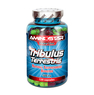 TRIBULUS TERRESTRIS 500 mg 120 Caps