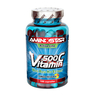 VITAMINA C 500 100 Caps