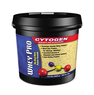 WHEY PRO 6 Kg