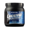 CREATINA MICRONIZADA 500 g