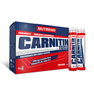 CARNITIN 1000 - 10 x 25 ml - (Enduro Drive)