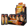 CARNITINE 3000 SHOT 20 x 60 ml