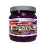 CREATINA (Professional Platinum Series) 1 Kg