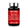 HCA CHITOSAN 100 Caps