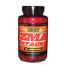 ZMA STACK 100 Caps