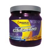 GLUTAMINA (Nutrytec Endurance) 500 g